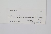 登錄號:P010408藏品圖，第2張