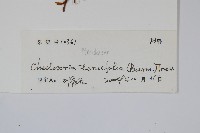 登錄號:P010451藏品圖，第2張