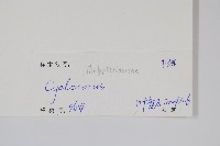 登錄號:P010466藏品圖，第2張