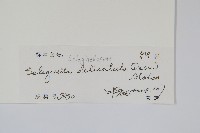 全緣卷柏藏品圖，第2張