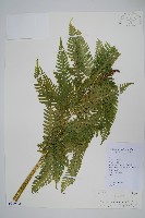 登錄號:P010486藏品圖，第1張