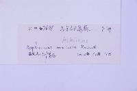 石生鐵角蕨藏品圖，第2張