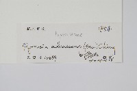 抱樹石葦藏品圖，第2張