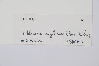 登錄號:P010525藏品圖，第5張