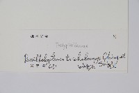 登錄號:P010532藏品圖，第2張