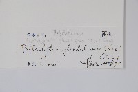 密腺副金星蕨藏品圖，第2張