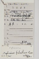 鐮葉鐵角蕨藏品圖，第2張