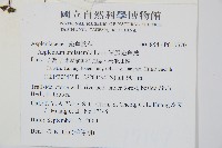 單邊鐵角蕨藏品圖，第2張