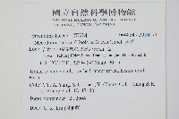 厚邊蕨藏品圖，第2張