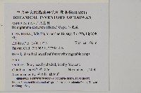 沙皮蕨藏品圖，第2張