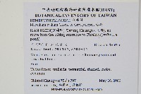 蕗蕨藏品圖，第2張