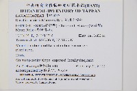 海州骨碎補藏品圖，第2張