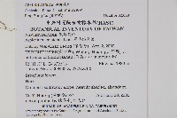 複齒鐵角蕨藏品圖，第2張