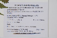 長苞雙蓋蕨、鱗柄雙蓋蕨藏品圖，第2張