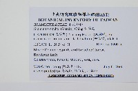 梳葉蕨藏品圖，第2張