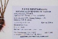 威氏鐵角蕨藏品圖，第2張