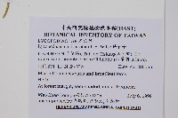 地刷子、多穗石松藏品圖，第2張