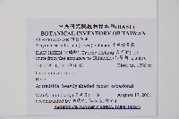 生芽蹄蓋蕨藏品圖，第2張