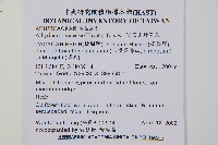 阿里山蹄蓋蕨藏品圖，第2張