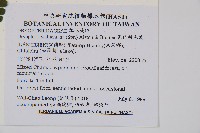 瓦氏鱗毛蕨藏品圖，第2張