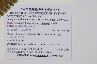 瓦氏鱗毛蕨藏品圖，第6張