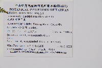 毛苞擬複葉耳蕨藏品圖，第2張