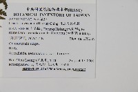 川上氏肋毛蕨藏品圖，第2張