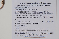 陰石蕨藏品圖，第2張