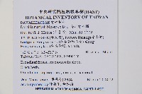 海州骨碎補藏品圖，第2張