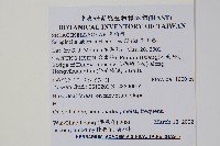 玉山卷柏藏品圖，第2張