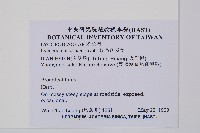 相馬氏石松藏品圖，第2張