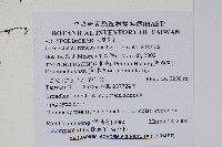 長柄劍蕨藏品圖，第2張