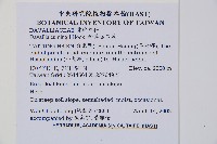 鱗葉陰石蕨藏品圖，第2張