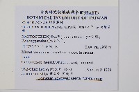 大葉貞蕨藏品圖，第2張