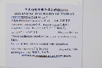 黑鱗耳蕨藏品圖，第2張