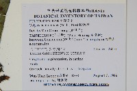 斷線蕨藏品圖，第2張