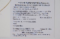 尾葉茯蕨藏品圖，第2張