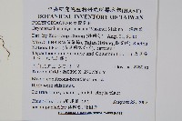 二條線蕨藏品圖，第2張