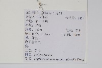 瓦葦藏品圖，第2張