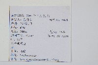 烏蕨藏品圖，第2張