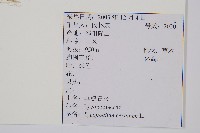 過山龍藏品圖，第2張