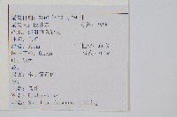 烏蕨藏品圖，第2張