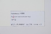 木賊藏品圖，第2張