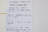 登錄號:P010717藏品圖，第2張