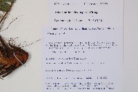 登錄號:P010722藏品圖，第5張