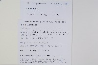 登錄號:P010728藏品圖，第2張