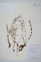 問荊藏品圖，第1張