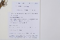 問荊藏品圖，第2張