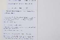 對生耳蕨藏品圖，第2張