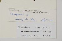 登錄號:P010739藏品圖，第2張